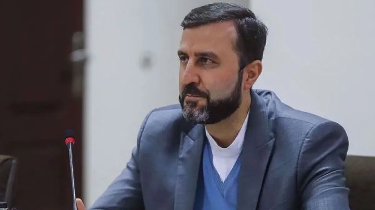 Gharibabadi: Iran to respond to new resolution with ‘fundamental review’ of policies