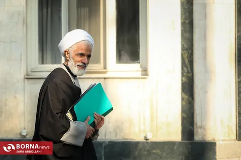انصاری: مجلس در قانونگذاری به حاشیه رفته است
