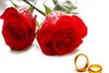 ملاک‌ اصلی حضرت زهرا (س) برای ازدواج چه بود؟