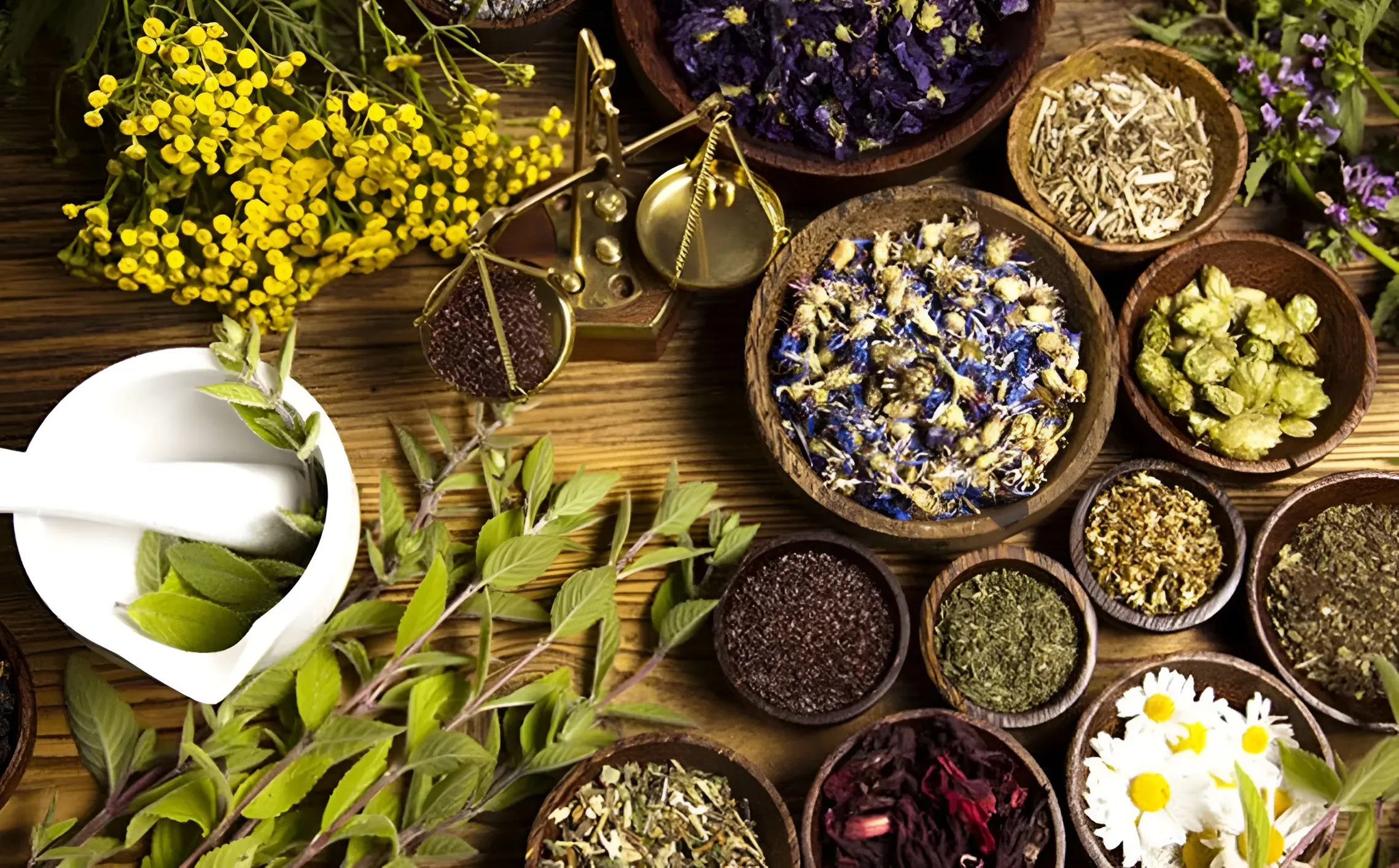 بررسی ظرفیت گیاهان دارویی در مدیریت زخم‌های سوختگی در شرایط بحران