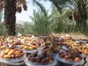پیش‌بینی تولید ۸۰ هزار تن رطب و خارک در بوشهر