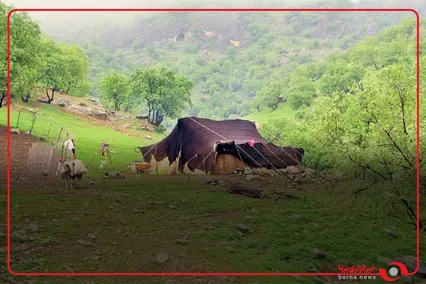 از آبی خلیج فارس تا سبز هیرکانی و خزر