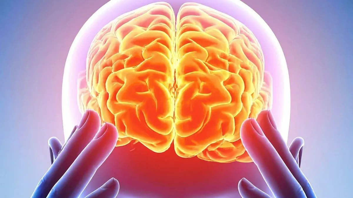 کشف الگوی مشترک مغزی در میان پنج ماده روان‌گردان