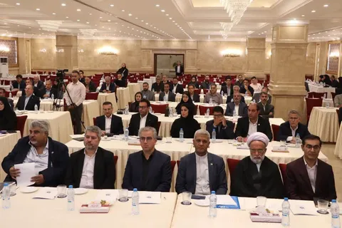 یزد ظرفیت‌های اقتصادی خود را برای توسعه همکاری با آفریقا معرفی کرد