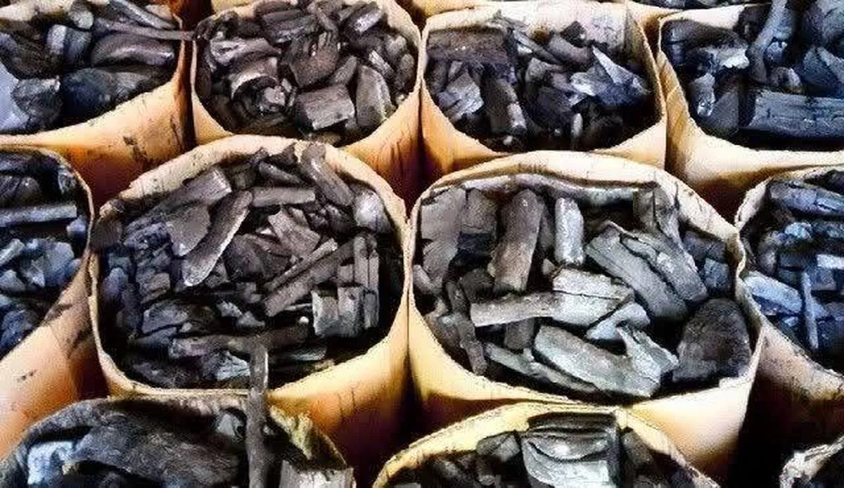 بیش از ۱.۲ تن زغال قاچاق در کرمانشاه کشف شد