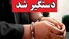 دستگيري سارق حرفه اي منزل در شهرستان