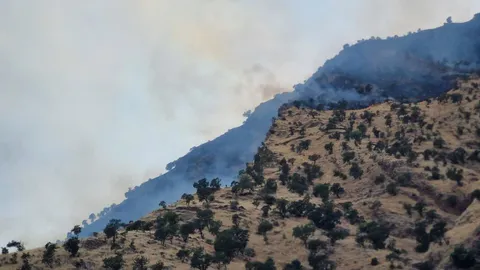 مهار آتش‌سوزی در مراتع «شیخان» پاوه/ ۳۰ هکتار در آتش سوخت