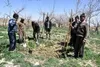 حقوق مستمری‌بگیران صندوق بیمه اجتماعی در همدان ۵۲ درصد افزایش یافت