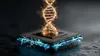 تراشه سیلیکونی هاروارد به ماشین نوشتن DNA تبدیل شد