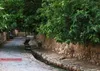 سمنان میزبان نشست «آب، تمدن، گردشگری»؛ آغاز گفتمان گردشگری تمدنی ایران