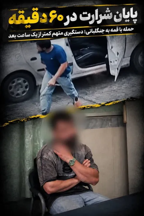 پایان شرارت در کمتر از یک ساعت؛ عامل حمله به جنگلبانان دستگیر شد