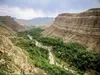 رکوردشکنی باغ‌های خراسان شمالی با ۱۷۰ هزار تن محصول / رتبه‌های برتر کشور در زعفران و زیره در دسترس است