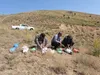 ۹ پرنده شکاری پس از تیمار و بازپروری در زیستگاه‌های قزوین رهاسازی شدند
