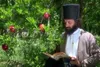 «ماذون شاعر قشقایی ها» به دیدار مردمان شبه قاره هند می آید