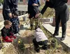 کاشت «نهال صلح و محبت» به یاد کودکان شهید در شیرخوارگاه معتضدی کرمانشاه