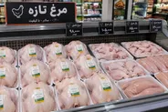 قیمت مرغ باز هم گران‌تر می‌شود