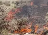 کاهش ۸۲ درصدی آتش سوزی در مراتع همدان