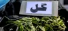 هشدار پلیس درباره ترکیبات روان‌گردان در برخی قرص‌های لاغری و عوارض مصرف گل