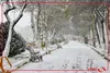 بارش نخستین برف پاییزی در تهران!