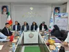رئیس هیئت پارا دو و میدانی هرمزگان انتخاب شد 