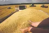 ۴۰ درصد از مطالبات گندم‌کاران کرمانشاه پرداخت شد/ پرداخت بخش دیگری از مطالبات به‌زودی