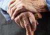 ۱۸ درصد جمعیت مهریز سالمند هستند؛ شناسایی ۱۳۲۰ سالمند بسیار پرخطر
