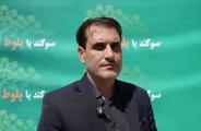 حفاظت از «بلوط»، حفاظت از هویت فرهنگی مردم زاگرس است