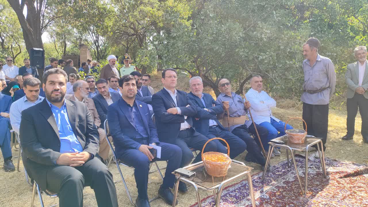 باغستان قزوین سرمایهای تاریخی و ریه تنفسی شهر است باغستان قزوین سرمایهای تاریخی و ریه تنفسی شهر است