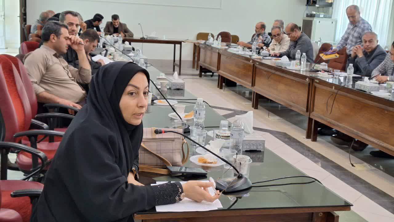 تأمین اعتبار پروژههای نیمهتمام و توسعه زیرساختها؛ مهمترین مطالبه مدیران شهرستان قزوین تأمین اعتبار پروژههای نیمهتمام و توسعه زیرساختها؛ مهمترین مطالبه مدیران شهرستان قزوین