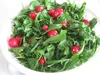سبزی خوردن بسته‌بندی باید مطابق ضوابط سازمان غذا و دارو تولید شود