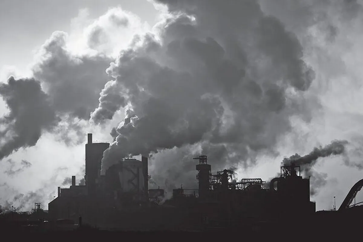 ۱۶ ابتکار جهانی برای کاهش آلودگی هوا از شهر هوشمند تا جنگل‌های عمودی