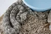 تعیین زیستگاه رهاسازی افعی‌های دم‌عنکبوتی با ملاحظات ژنتیکی و حفاظتی