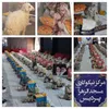 ۱۲۱ بسته معیشتی در بین نیازمندان کرمانشاهی توزیع شد