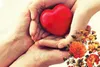 اهدای عضو نوجوان یزدی؛ شانزدهمین ایثار ماندگار در سال ۱۴۰۵