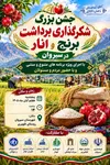 جشن بزرگ برداشت برنج عنبربو و انار در سیروان؛ تجلی تمدن و تلاش با پیوند کشاورزی، عشایر و گردشگری
