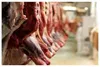 عرضه گوشت الاغ و اسب ممنوع شد