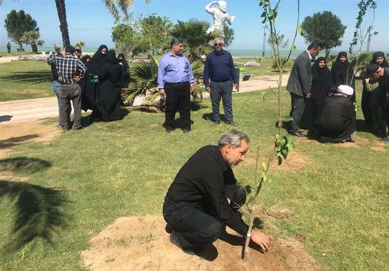 توزیع پانزده هزار نهال در بوشهر همزمان با پویش‌های مردمی درختکاری