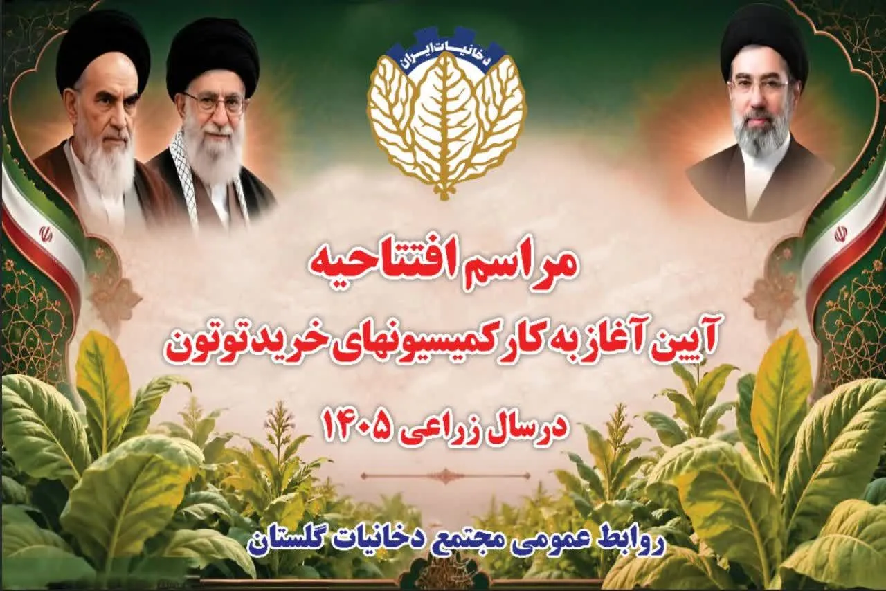 آغاز به کار کمیسیون‌های خرید توتون مجتمع دخانیات گلستان در سال زراعی ۱۴۰۵