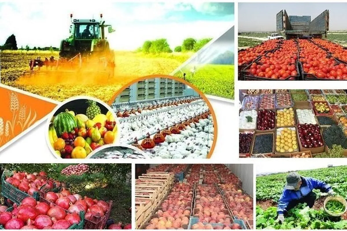 عوائد زراعية تتجاوز 8 مليارات دولار خلال العام الماضي