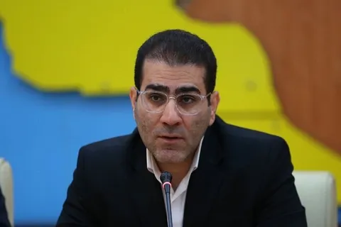 معاون استاندار بوشهر: یک نقطه در شهرستان دشتی مورد تهاجم قرار گرفت