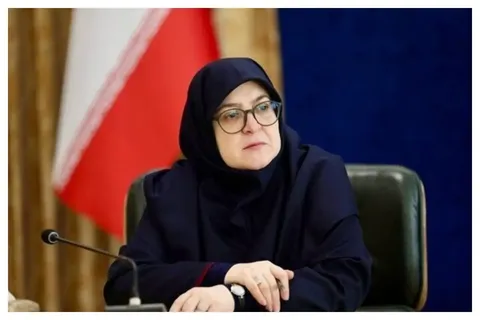 مهاجرانی: «پاک‌نژاد» با کارنامه موفق رفت؛ «بورد» از بدنه تخصصی وزارت نفت جایگزین شد