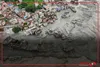 شمار قربانیان سیل ویرانگر نپال به ۶۷۰ نفر رسید