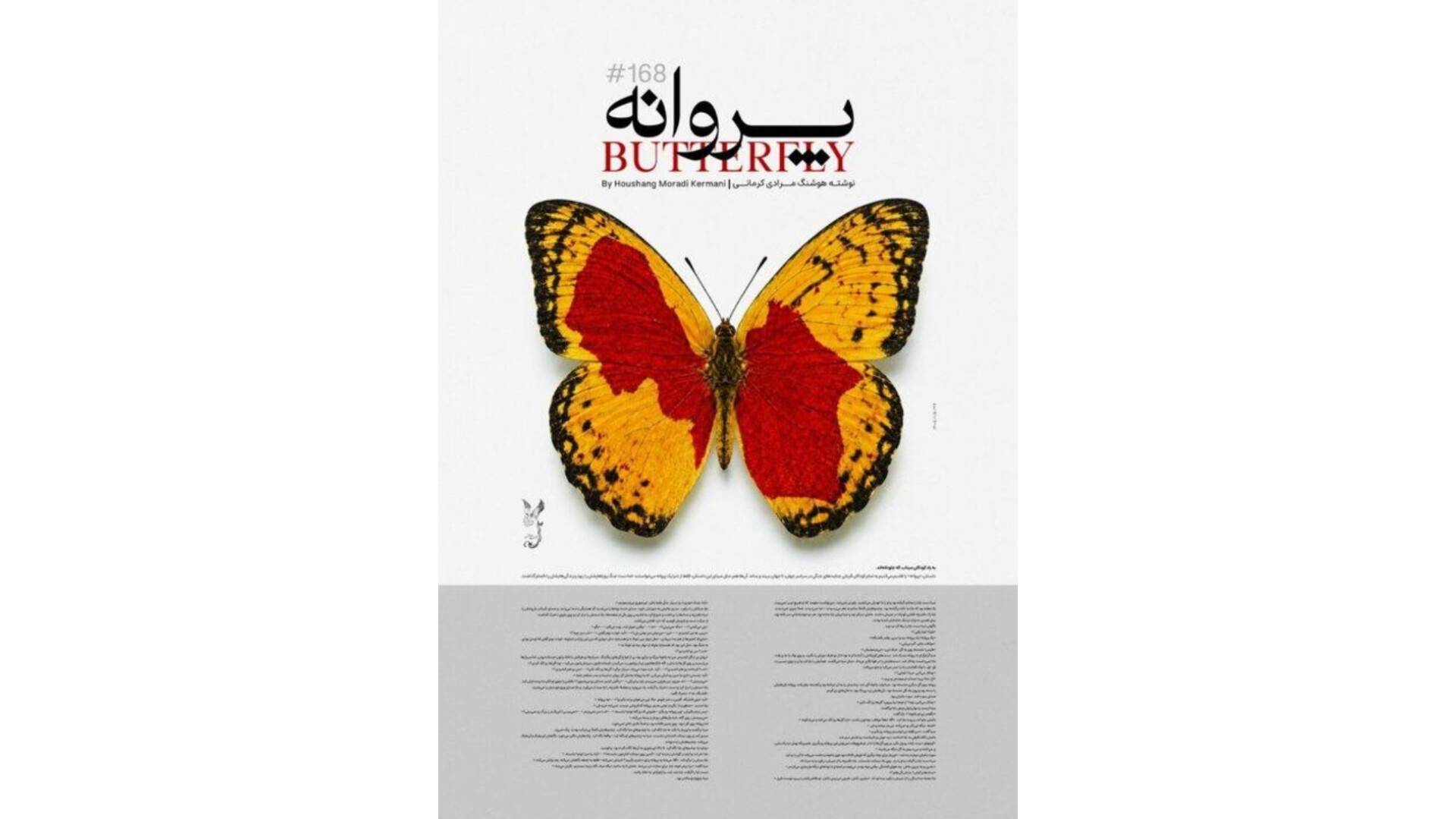 «پروانه» در مسیر سازمان ملل؛ روایت دیپلماسی فرهنگی ایران از میناب تا نیویورک «پروانه» در مسیر سازمان ملل؛ روایت دیپلماسی فرهنگی ایران از میناب تا نیویورک