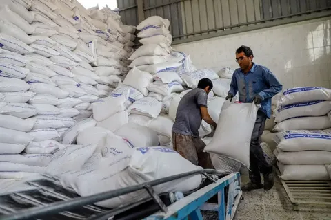 تأکید بر برخورد بازدارنده با نانوایی‌های متخلف در کهگیلویه و بویراحمد