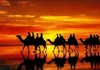 کاروان اسیران کربلا در روز اربعین امام حسین (ع) کجا بود؟