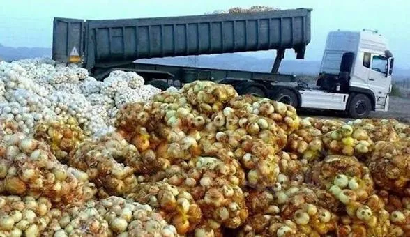 صادرات پیاز از مرزهای خوزستان ممنوع شد