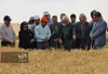 بازدید میدانی استاندار از بزرگ‌ترین مزرعه تولید گندم بذری خراسان شمالی/ وعده حمایت از تولیدکنندگان