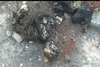 کشته شدن و سوزاندن ۳۰۰ سگ در اهواز کذب محض است