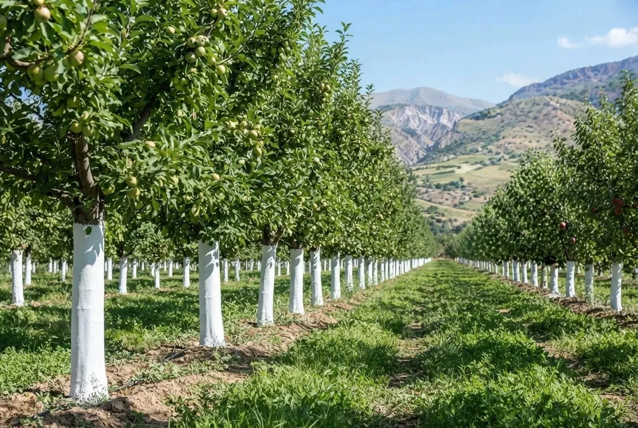 نانوپرایمر؛ محصول دانش‌بنیان برای محافظت از تنه درختان