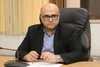 قزوین با گردش مالی بیش از ۳ همت، قطب تولید و فرآوری زیتون کشور است